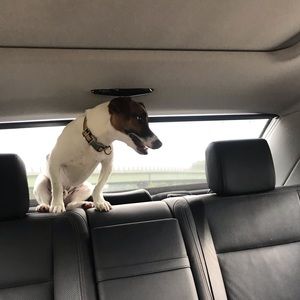 Meet your Posher, Isabelle